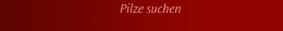 Pilze suchen